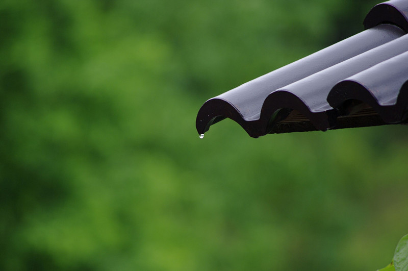 ޺ۣҹ ޺,ҹ, ɢ 181246wdecdevrzevtx11m