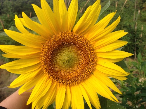   ִʫ 095638w4h4szsfqhj4fhqd