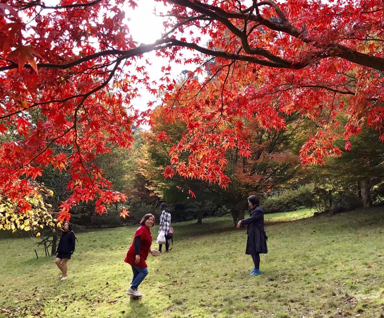 Ҷ֮  ִʫ 075140lliimi2k28kcjbqi