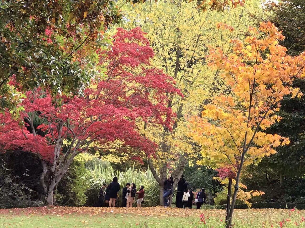 Ҷ֮  ִʫ 075221t8izdxzz6hx6d8go