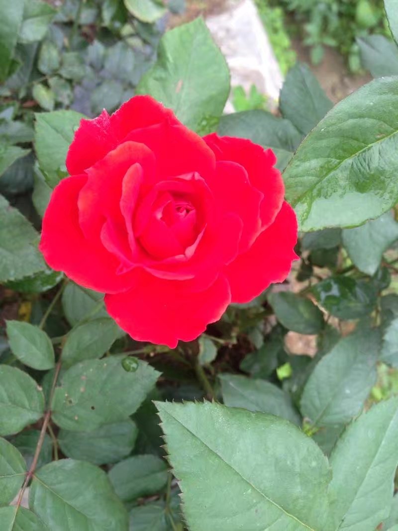 õ ,õ ִʫ 133427y27bc8bxbxh25g2a