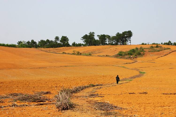   ѧ 160442yl2tn1a9kb1t01xt