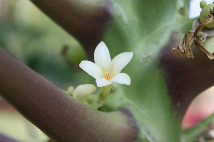 ľ֦ ,ľ,֦ ѧ 205232nkg2xmpgx7p7lnpx