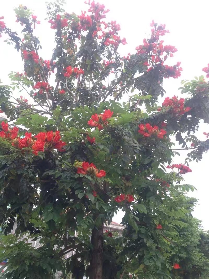   ִʫ 082226zp76yphmzg1lpspp