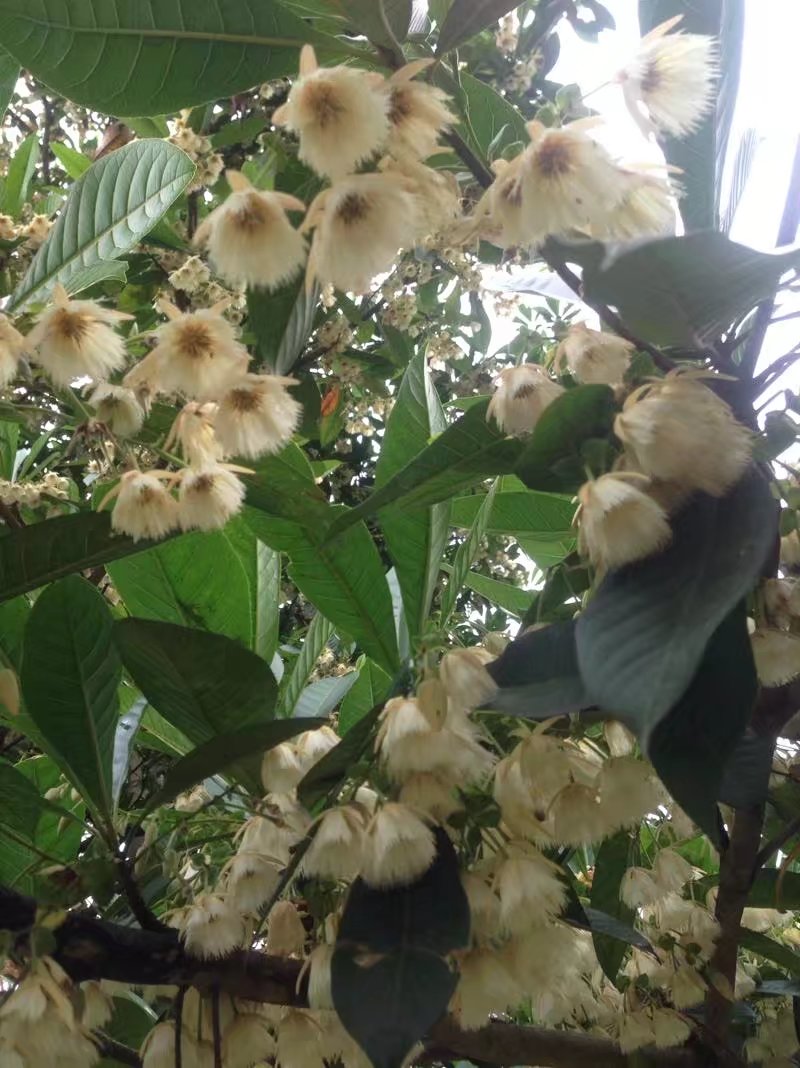 ף520 ף ִʫ 094535wp4f4vq6p55eg4pv