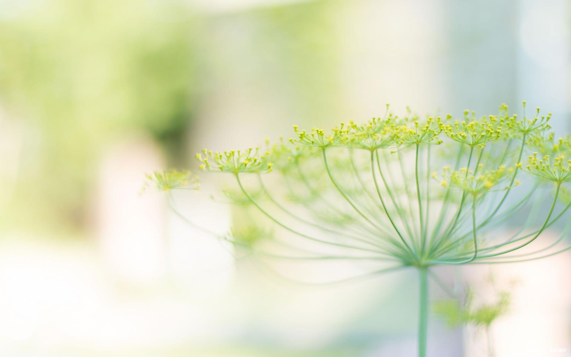 Լľ Լ,Լ, ѧ 154737zr2d32p323od7tsm