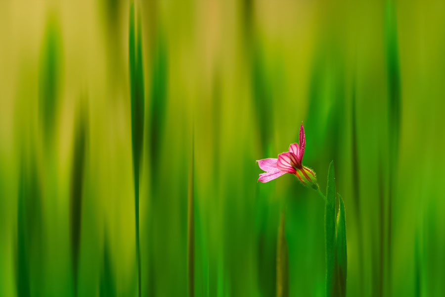 ӡ ,ӡ ѧ 183255a37lxzj4xl9zsqa6