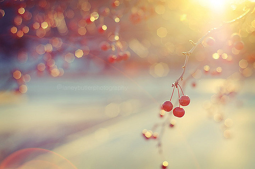 ⾵  ɢ 194930lc1c7y7lwynnkxno