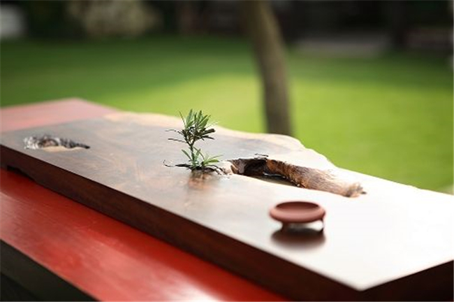 ҹ ҹ, ɢ 215238ux4jv43adsv3jn4j