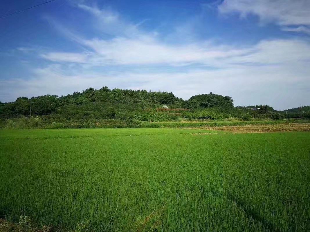 ĵ  ִʫ 202234es8an88tfnnjnsnb