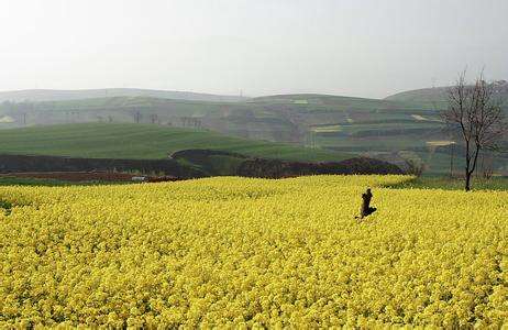 ¹ԭϵ ¹ԭ, ִʫ 224714s1jmesjq3jljszpq