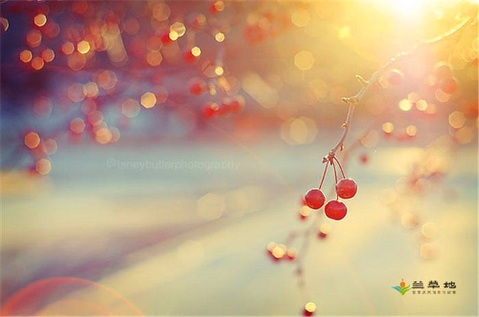 Ĵ ,, ɢ 082322uj3oszzjhibka334