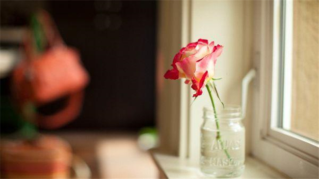 һĻڣNJ һ,, ѧ 092855wfnen8mnv2zepqnv