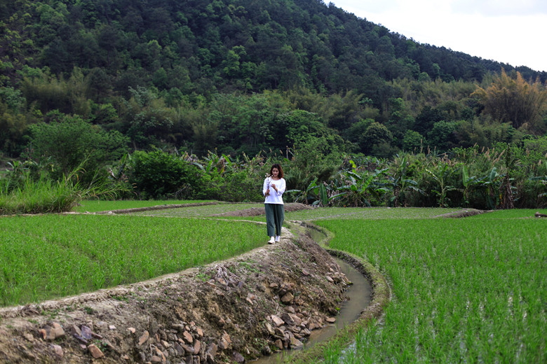 ̰ӹ , ɢ 184318td6d55v62lk05hdn