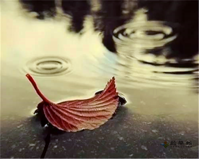 İ İ ִʫ 120842cykbii0az75l7qqy