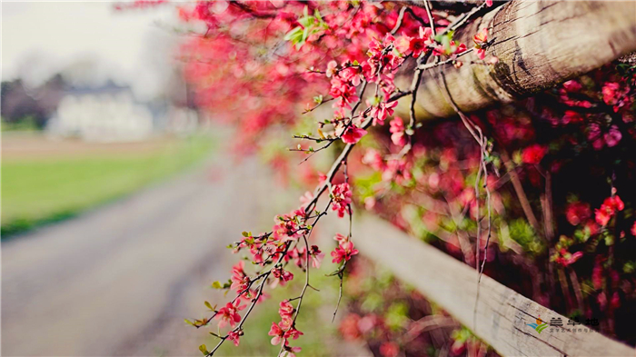 ˼ҵ껪 ˼,,ҵ,껪 ִʫ 190237hcnc3ta775a7vs7c