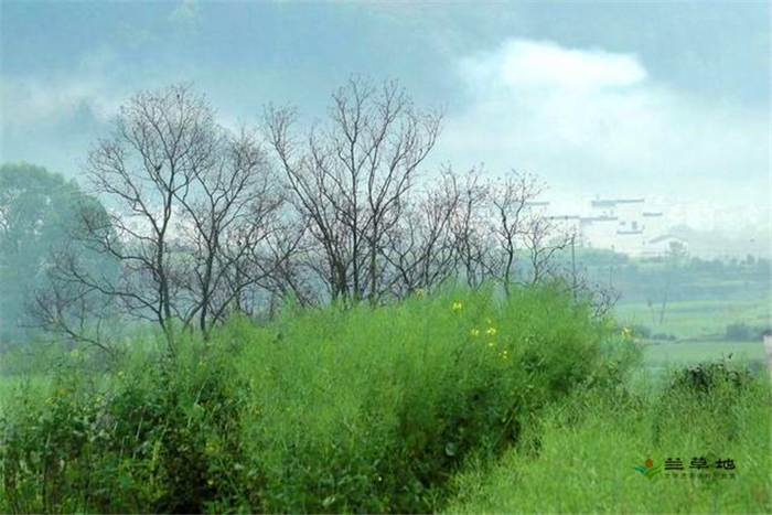 У͸ ϣ ,, Ͻ 212927sf18ncocf1c0cci8