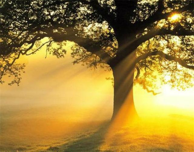 飨ʫ ,ʫ ִʫ 190109iaj93ddrbsq7r2dc