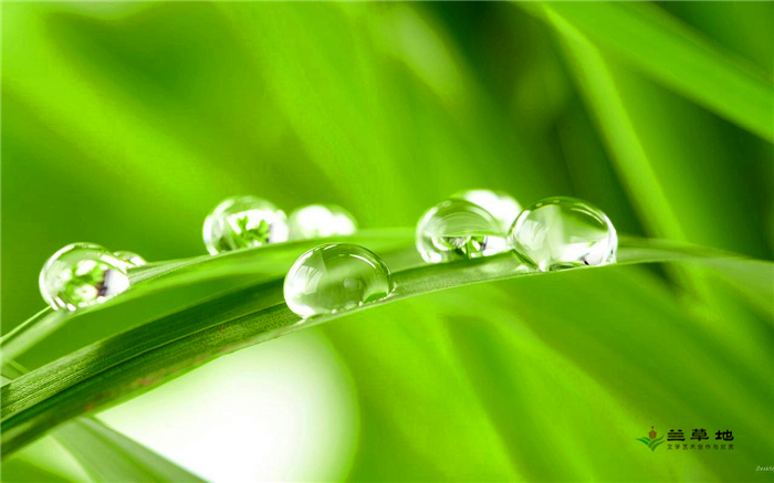 ֦Բ Բ ѧ 183145k55mcvutjoztq95v