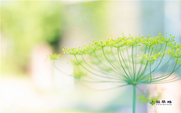 ˶ū ,,ū ѧ 191831o8qcp8do7zpcfp7i