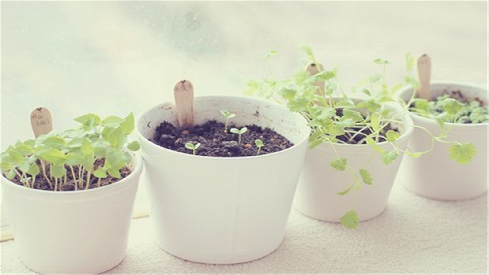 Ϊʲô˲Ļ㹤֮һ Ϊʲô,,㹤,֮һ ɢ 095142oi33iz0ff2fsq23f