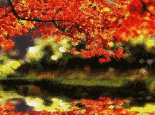 ѡ , ɢ 101129eft5ahtzn57ocenh