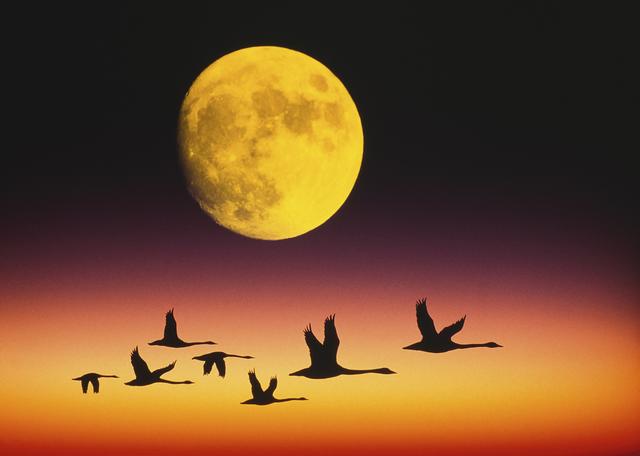 ն¡ˮͷ    /ģɢ ˮͷ,,,ɢ Ͻ 204950q9n9pk7n8wkpn0kj