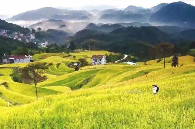 ݱĻˡʦ ,,,ʦ ɢ 162748xwmzcddlnrz8h2bx