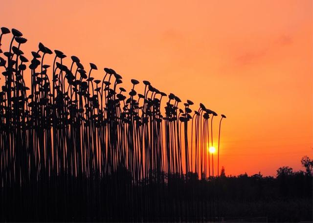 ϲ  ɢ 093719odfxn47xcg35dvxt