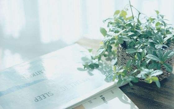 ɢһ߽ һ,һ,,, ѧ 082824raaaah9apiiaw9bq