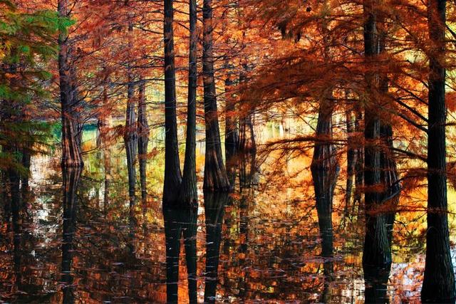 д  ѧ 112052e7jwuo8jz8479xg1