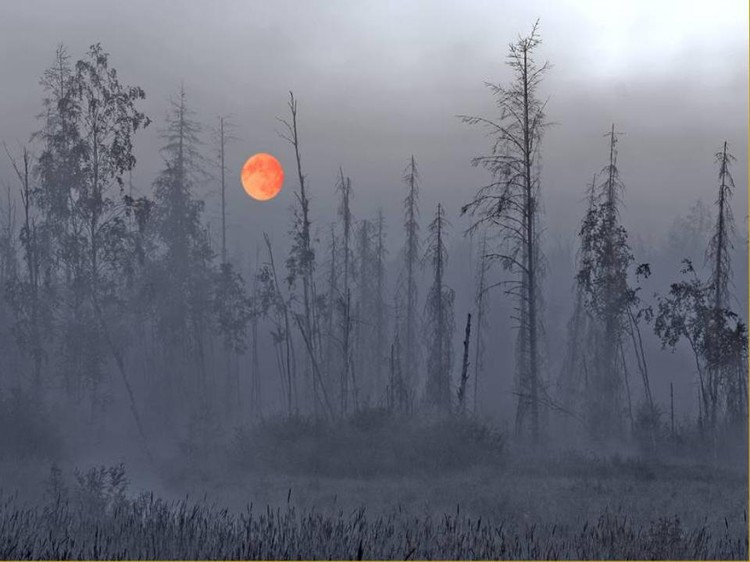 һӹȥ һ,,,ȥ ִʫ 175546v2vc0kae5ws1sj3k