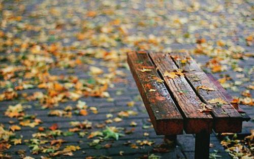 (һ) һ ִʫ 175738xm2cpatcnr6c6evw