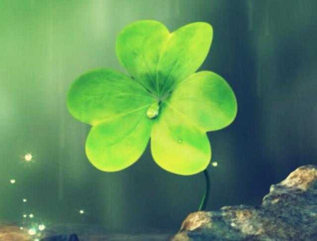 һëë𡭡 һ, ѧ 220010ynshnpczvncncn0c