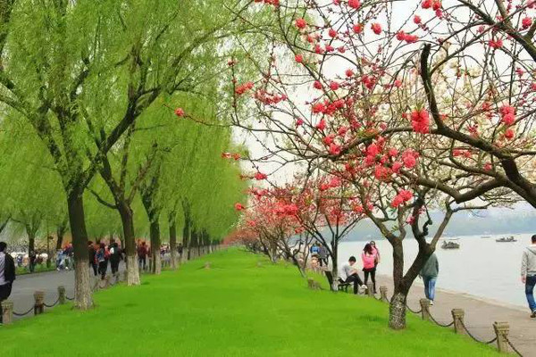 ˼ ˼ ִʫ 225345xuzycq4qcnbwfw2u