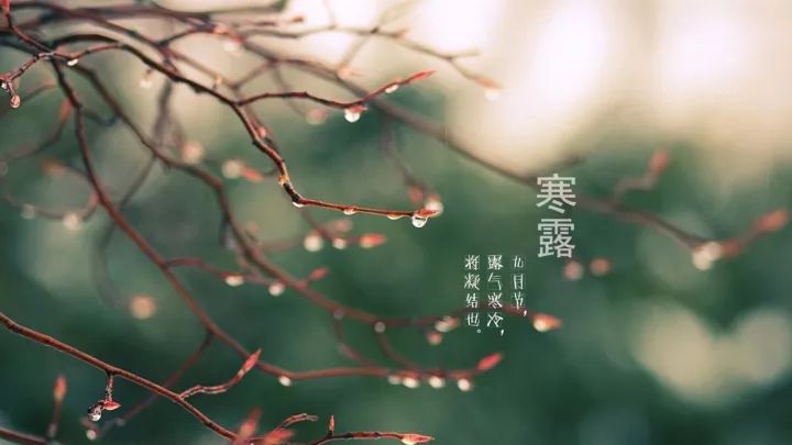 ¶һף ¶,һ ִʫ 151056mz9bvaf9t44atzt9