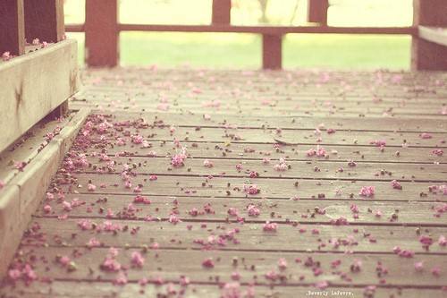 ʮq ʮ ִʫ 021200dy3n8r9sripr4in2