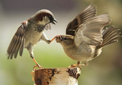 ȸ ,ȸ ɢ 175953edlye1c6yyjccaez