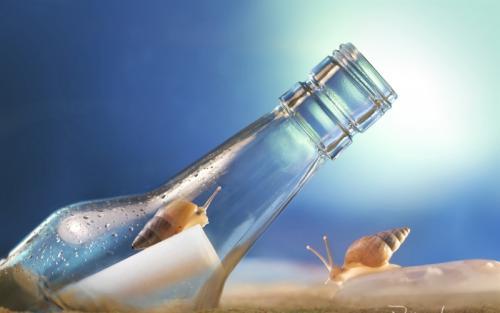 ɽп·ˮжɴ ɽ,·,ˮ,,ɴ ѧ 183149tax389qp3wsgqe3a