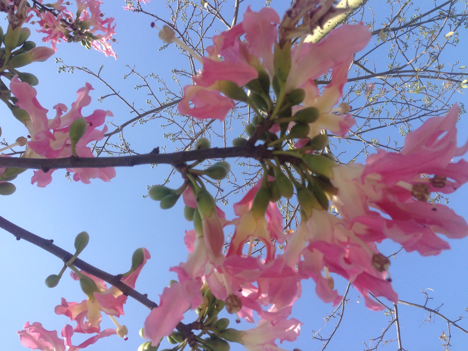   ִʫ 055041tgn11iah3g3whhbm