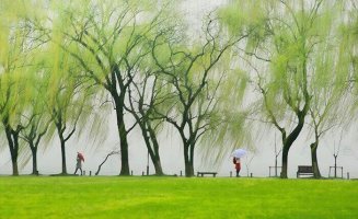  , ɢ 000031felekv08fn7s2zks