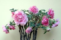   ɢ 225054ow171173qw611527