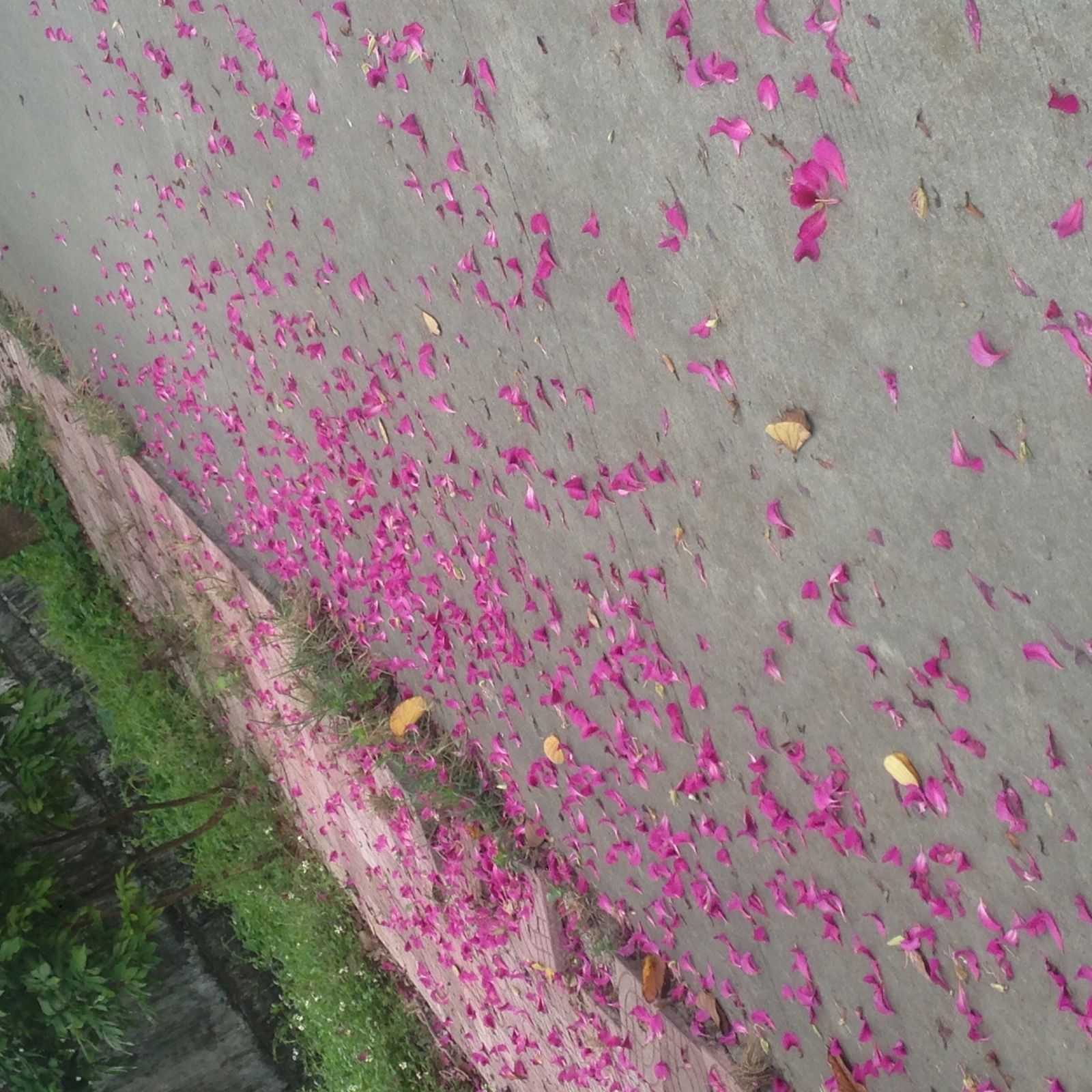   ִʫ 084814jx50re6rxzsx2oir