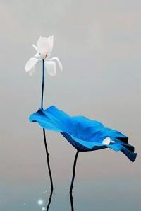 ˣô ô, ɢ 220227dpnrjypj9naqsj7n