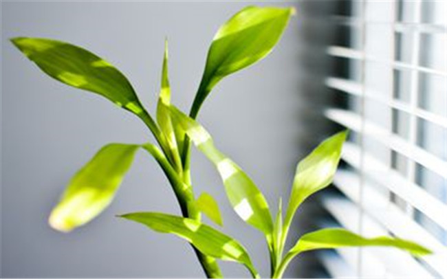   ɢ 103300rh3rc9g0kckv9cnk