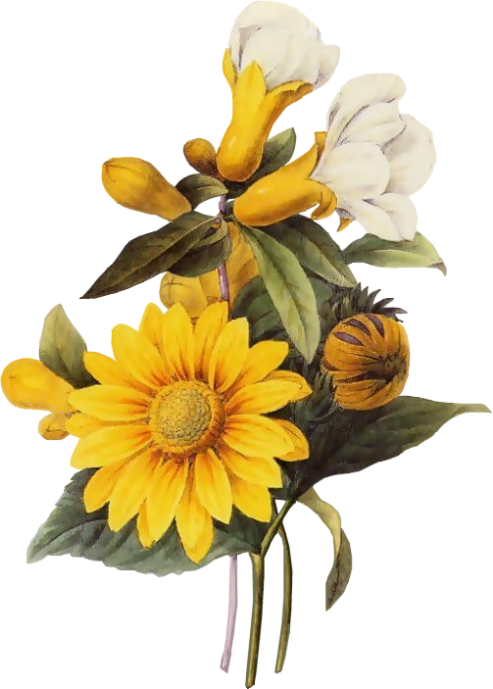 㻳 ,㻳 Ͻ 213405d1rfeajx777grxxy