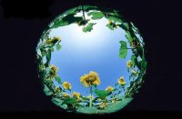 ҹ  ִʫ 231655i9i6iio7a339uuj6