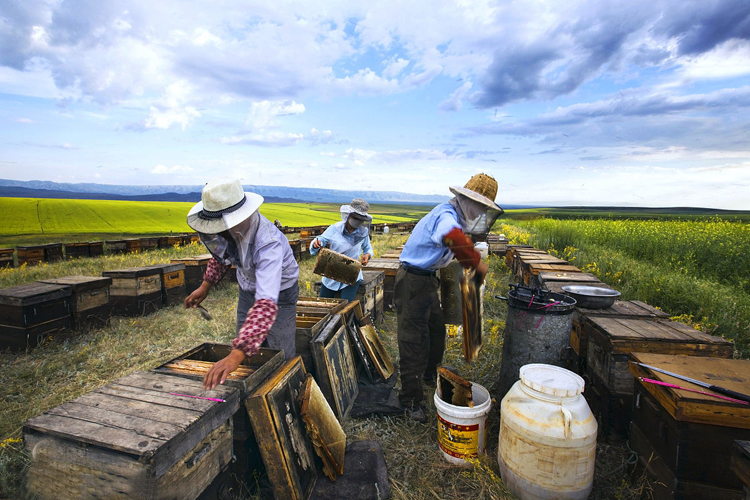 ԶСıӰ Զ,С,Ӱ ɢ 180203pywc3m3y3dmml88v