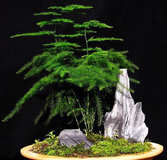  ʫ  Ͻ 213252wmuipii5d7p2xpza