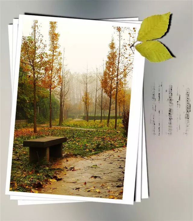 ĵ  ִʫ 204413juq8dhs7kp1u7847